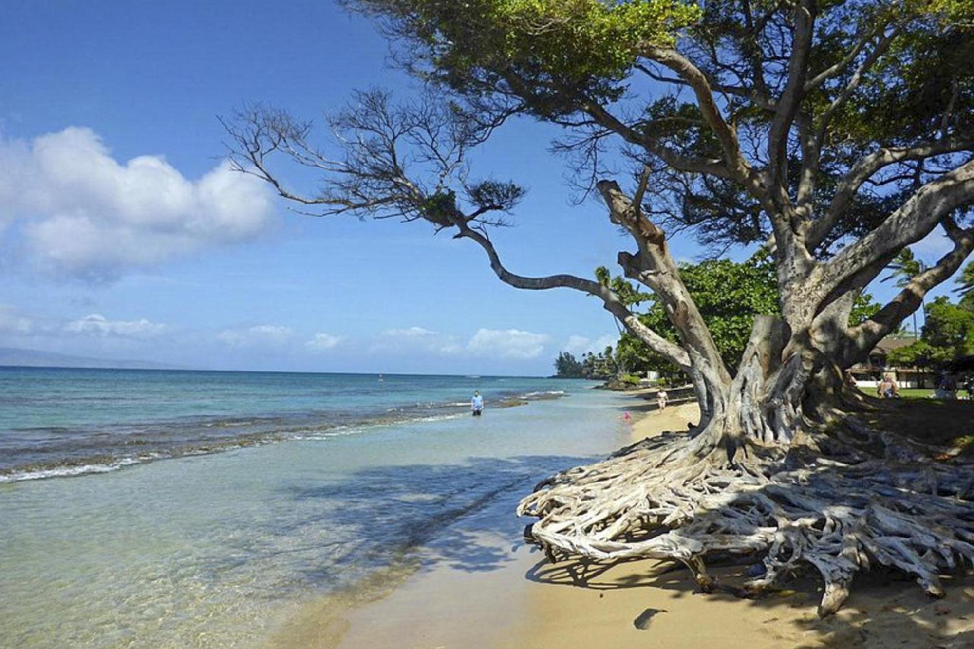 Polynesian Shores 118 Kahana ภายนอก รูปภาพ